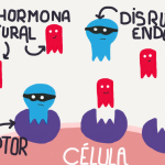 disruptores endocrinos - sumati