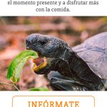 Por qué es importante comer lento - Sumati