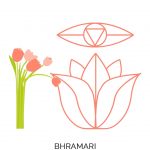 Bhramari o Respiración de la abeja - Pranayama - Tu relación con la comida habla de ti - Sumati