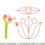 Nadhi sodana o Respiración alterna - Pranayama - Tu relación con la comida habla de ti - Sumati